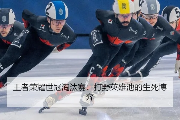 wang-zhe-rong-yao-shi-guan-tao-tai-sai-da-ye-ying-xiong-chi-de-sheng-si-bo-yi-3-447.jpg