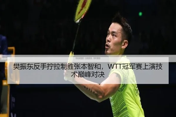 樊振东反手拧拉制胜张本智和，WTT冠军赛上演技术巅峰对决